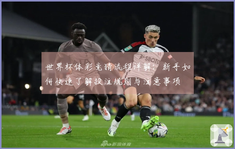 世界杯体彩竞猜流程详解：新手如何快速了解投注规则与注意事项