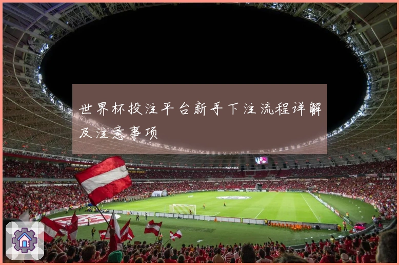 世界杯投注平台新手下注流程详解及注意事项