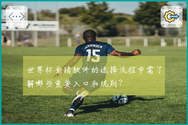 世界杯竞猜软件的选择流程中需了解哪些重要入口和规则？