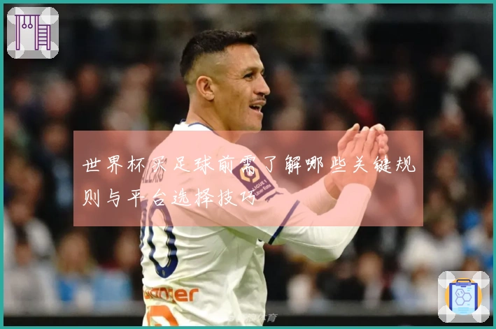 世界杯买足球前需了解哪些关键规则与平台选择技巧