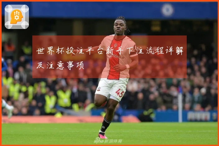 世界杯投注平台新手下注流程详解及注意事项