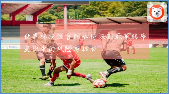 世界杯投注官网如何识别冠军赔率变化中的风险与机会